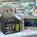 Pet Memorial Urn Supplier - Wholesale Solid Wood Photo