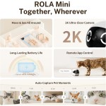 Mini Smart Pet Companion Manufacturer - HD Surveillance Low Noise