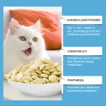 猫辅酶Q10厂家-高端心脏代谢