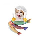 Catnip Fish Toy Manufacturer - Factory Price Organic Training