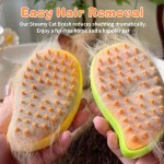 Pet Steamy Brush Manufacturer - 3 in 1 Dry Wet Massage