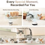 Mini Smart Pet Companion Manufacturer - HD Surveillance Low Noise