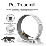 Pet Fitness Treadmill Manufacturer - Solar Powered Digital