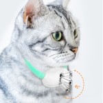 Cat Laser Toy Supplier - Interactive Infrared Self Entertainment