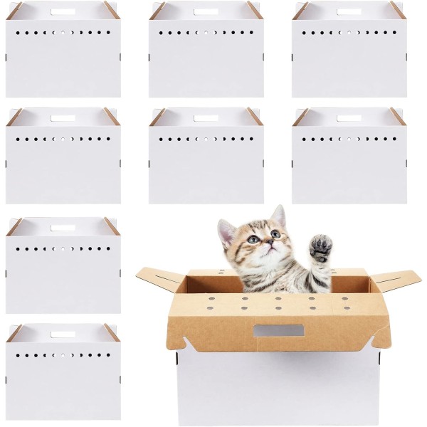 Pet Transport Boxes Supplier - Wholesale Heavy Duty Cardboard