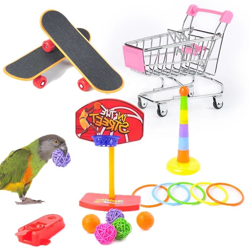 Parrot Chew Toy Supplier - Bell Balls Basketball Hoop