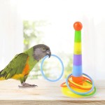 Parrot Chew Toy Supplier - Bell Balls Basketball Hoop
