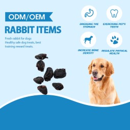 Salmon Treats Factory - Pet Food Salmon Various Flavors Nutritious Delicious High Protein Dog