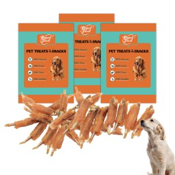 Pet Treats Factory - Hot Sale OEM 15g High Protein Pet Treats Dog Snacks Chicken Fish Skin