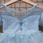 女童选美连衣裙工厂-可定制夏季蝴蝶贴花晚礼服