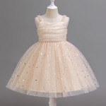 女婴连衣裙供应商-厂家批发高品质花卉刺绣裙配发带