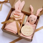 Baby Shower Gift Set Manufacturer - OEM 5-Piece Bath Toy Muslin Blanket Teething Ring Set