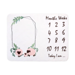 成长里程碑毯供应商-可定制新生儿绒毯