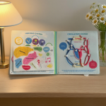 教育故事书工厂-无纺布彩虹毛毡忙碌板