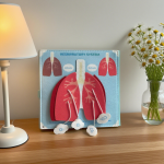 教育故事书工厂-无纺布彩虹毛毡忙碌板