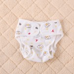 训练裤工厂-可定制可调节可重复使用布尿裤