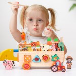 农场玩具生产厂家-动物汽车形状匹配钓鱼游戏