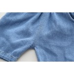 幼儿棉质套装厂家-新款时尚Polo T恤和短裤绅士服装