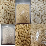 Shatavari Extract Powder Manufacturer - OEM/ODM Wholesale Factory Supply Asparagus