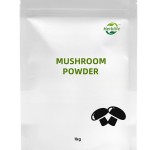 Mushroom Coffee Factory - ODM High Quality Low Acid Chocolate Flavor Energy