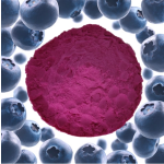 Blueberry Leaf Extract Supplier - High Quality Freeze-Dried Wild Herbal Extract