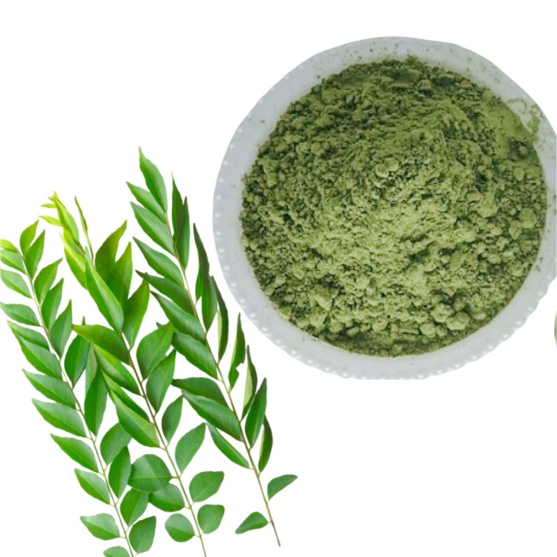 Curry Leaf Powder Supplier - Natural Organic Herbal Extract Cooking Ingredients