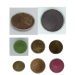 Ganoderma Lucidum Capsules Factory - OEM/ODM Factory Supply Reishi Vegetarian