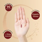 Herbal Supplement Capsules Factory - Private Label All-in-One Cleanse Detox Turmeric