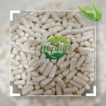 Magnesium Bisglycinate Manufacturer - High Absorption for Muscle Bone Joint Support