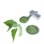 Curry Leaf Powder Supplier - Natural Organic Herbal Extract Cooking Ingredients