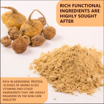 Maca Root Gummies Supplier - Private Label BBL Herbal for Women Energy Hormone