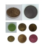 Black Cohosh Capsules Manufacturer - ODM OEM Hot Sale Private Label 500mg Extract