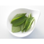 Curry Leaf Powder Supplier - Natural Organic Herbal Extract Cooking Ingredients