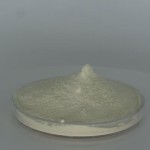 Stevia Extract Powder Manufacturer - OEM/ODM Wholesale 25KG Bulk Organic Food Grade