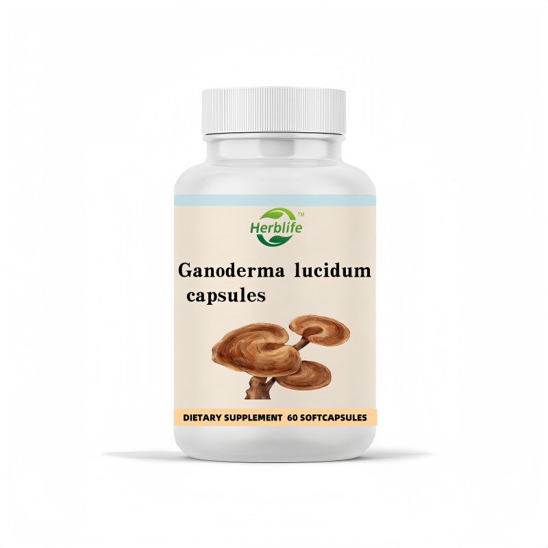 Ganoderma Lucidum Capsules Factory - OEM/ODM Factory Supply Reishi Vegetarian