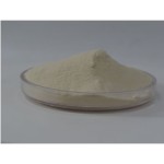 Stevia Extract Powder Manufacturer - OEM/ODM Wholesale 25KG Bulk Organic Food Grade