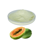 Papaya Powder Supplier - Wholesale High Quality 100% Natural Freeze Dried