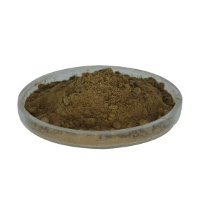 Apocynum Venetum Extract Supplier - OEM/ODM Wholesale Factory Supply Leaf Extract