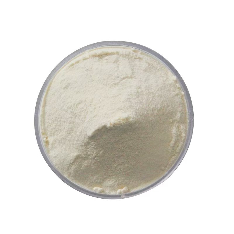 Stevia Extract Powder Manufacturer - OEM/ODM Wholesale 25KG Bulk Organic Food Grade