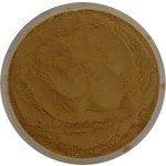 Shatavari Extract Powder Supplier - OEM/ODM Factory Supply Asparagus Racemosus
