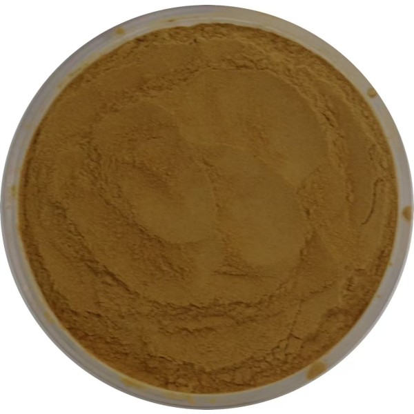 Shatavari Extract Powder Supplier - OEM/ODM Factory Supply Asparagus Racemosus
