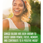 Ginkgo Biloba Powder Manufacturer - Organic Herbal Extract Immunity Cognition Booster