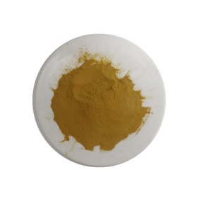 Motherwort Powder Supplier - Wholesale Natural Herbal Extract Yi Mu Cao Powder