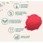 Beetroot Powder Manufacturer - Organic Pre-Workout Concentrated Energy Immune