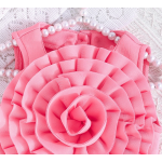 儿童公主连衣裙工厂-欧美风格正式配超大荷叶边