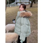 无缝内裤供应商-透气低腰U型提腹