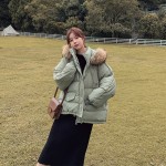 无缝内裤供应商-透气低腰U型提腹