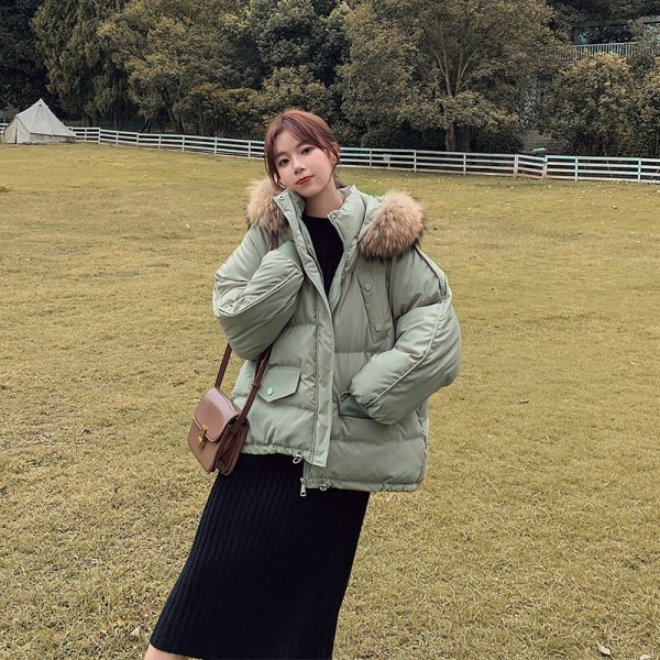 无缝内裤供应商-透气低腰U型提腹