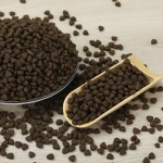 宠物食品供应商-中国厂家低价干狗粮批量批发