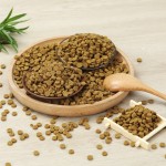 烘焙猫粮工厂-易吸收消化低温烘焙